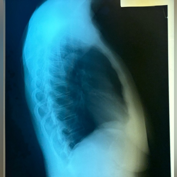 Meet the Posher 🦋 - Picture 5 of 5